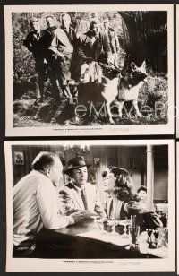 9f901 I MARRIED A MONSTER FROM OUTER SPACE 4 8x10 stills '58 Gloria Talbott, Tom Tryon