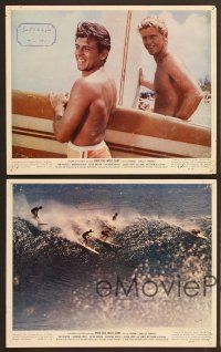 9f419 RIDE THE WILD SURF 7 color 8x10 stills '64 Fabian, lots of cool surfing images!