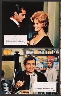 9f046 CARNAL KNOWLEDGE 8 color English FOH LCs '71 Jack Nicholson, Candice Bergen, Ann-Margret