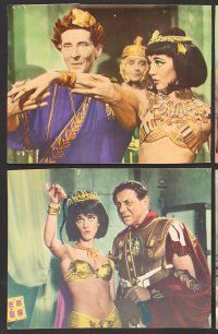 9f048 CARRY ON CLEO 8 color English LCs '65 Sidney James, Kenneth Williams, sex on the Nile!