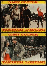 9h157 DISTANT DRUMS 2 Italian photobustas '52 Gary Cooper in the Florida Everglades!