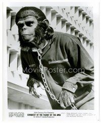 9j138 CONQUEST OF THE PLANET OF THE APES 8x10 still '72 c/u of chained Roddy McDowall as Caesar!