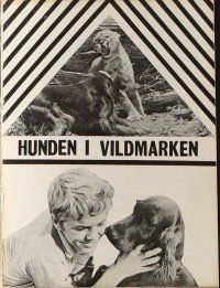 9k155 BIG RED Danish program '62 Disney, Walter Pigeon, Irish Setter dog, different images!