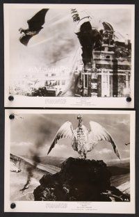 9p945 RODAN 2 8x10 stills '57 Ishiro Honda's Sora no Daikaiju Radon, Flying Monster over Tokyo!