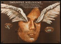 9x030 STRAIGHT TIME Polish 27x38 '78 Dustin Hoffman, Russell, Majewski art of wing-eyed woman!