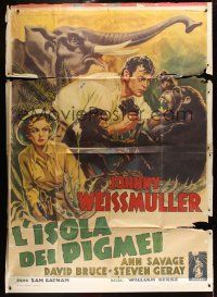 1b401 PYGMY ISLAND Italian 2p '51 different art of Johnny Weissmuller as Jungle Jim by Capitani!