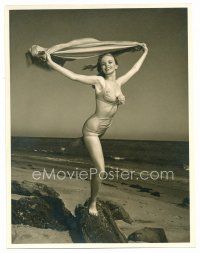 1e570 DEE TURNELL deluxe 10x13 still '40s posing on rock at ocean in sexiest swimsuit!