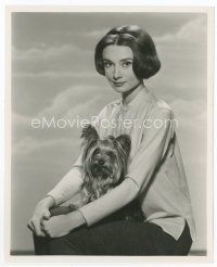 1m013 AUDREY HEPBURN 8.25x10 still '59 with her dog, before appearing in Nun's Story by Bert Six!