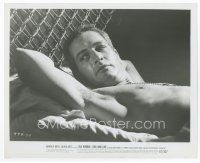 1m308 COOL HAND LUKE Can/US 8x10 still '67 image of Paul Newman in bunk in prison escape classic!