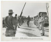 1m307 COOL HAND LUKE Can/US 8x10 still '67 George Kennedy and guards in prison escape classic!