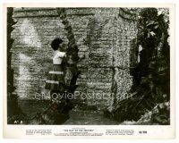 1m331 DAY OF THE TRIFFIDS 8x10 still '62 classic English sci-fi, blind girl hides behind wall!