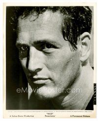 1m495 HUD 8x10 still '63 Paul Newman is the man with the barbed wire soul, Martin Ritt classic!