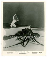 1m508 INCREDIBLE SHRINKING MAN 8x10 still '57 tiny Grant Williams attacks big tarantula with nail!