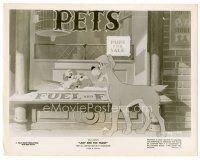 1m564 LADY & THE TRAMP 8x10 still '55 Disney classic, Tramp on street looking at pups in petstore!