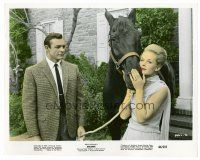 1m093 MARNIE color 8x10 still '64 Sean Connery & sexy Tippi Hedren w/horse!