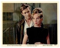 1m119 SUBTERRANEANS color 8x10 still '60 great close up of George Peppard & pretty Leslie Caron!
