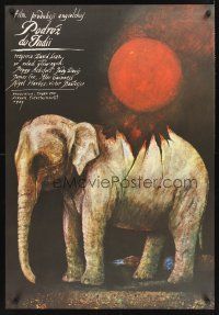 1r575 PASSAGE TO INDIA Polish 27x38 '84 David Lean, different elephant art by Wiktor Sadowski!