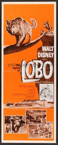 2d245 LEGEND OF LOBO insert '63 Walt Disney, King of the Wolfpack, cool art of wolf being hunted!