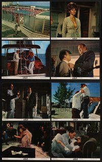 2g569 LADY IN CEMENT 8 color 11x14 stills '68 detective Frank Sinatra & sexy Raquel Welch!