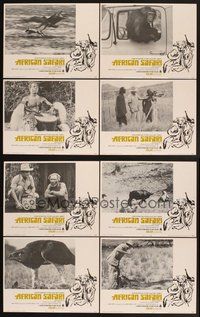 2g036 AFRICAN SAFARI 8 LCs '69 jungle documentary, cool images of deadly wild animals!