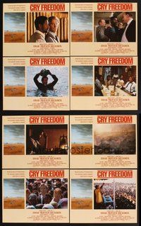 2g258 CRY FREEDOM 8 LCs '87 Kevin Kline, Denzel Washington, directed by Richard Attenborough!