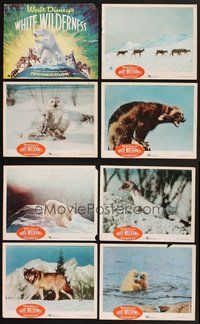 2g973 WHITE WILDERNESS 8 LCs '58 Walt Disney, polar bear & arctic animals on top of world!