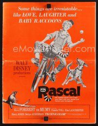 2h208 RASCAL pressbook '69 Walt Disney, great art of Bill Mumy on bike with raccoon & dog!
