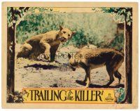 2j860 TRAILING THE KILLER LC '32 cool close up of Caesar the German Shepherd & mountain lion!