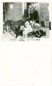 2k110 BELLBOY 8x10 still R66 Jerry Lewis walking a bunch of different dogs!