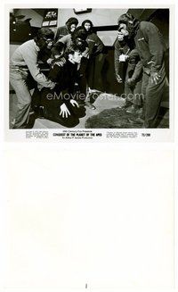 2k218 CONQUEST OF THE PLANET OF THE APES 8x10 still '72 lots of apes study Roddy McDowall!