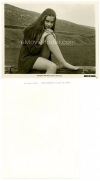 2k496 LYNNE FREDERICK 8x10 still '71 16 years old in her film debut in No Blade of Grass!