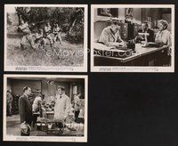 2r423 BEGINNING OF THE END 3 8x10 stills '57 scientist Peter Graves & sexy Peggie Castle!