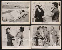 2r225 BOY ON A DOLPHIN 7 8x10 stills '57 Clifton Webb & sexiest Sophia Loren!