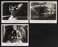 2r433 COMPANY OF WOLVES 3 8x10 stills '85 Neil Jordan, Lansbury, the best gruesome werewolf images!