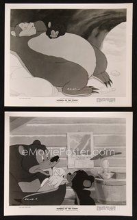 2r488 DUMBELL OF THE YUKON 2 8x10 stills R50s cute images from Walt Disney cartoon!