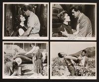 2r015 THIS EARTH IS MINE 36 8x10 stills '59 many great images of Rock Hudson & Jean Simmons!