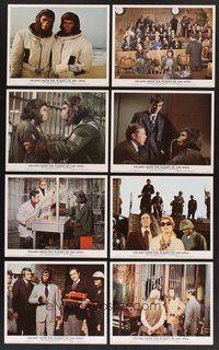 2r741 ESCAPE FROM THE PLANET OF THE APES 8 color English FOH LCs '71 Kim Hunter, Roddy McDowall!