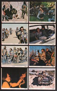 2r812 WEREWOLVES ON WHEELS 8 8x10 mini LCs '71 great images of bikers on Harley-Davidson bikes!