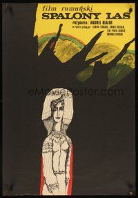 3b456 PADUREA PIERDUTA Polish 23x33 '72 Andrei Blaier directed, Stachurski art of woman in forest!