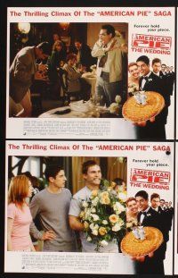 3f139 AMERICAN WEDDING 8 LCs '03 Jason Biggs, Alyson Hannigan, American Pie!