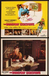 3f042 BAREFOOT EXECUTIVE 9 LCs '71 Walt Disney, Kurt Russell & wacky chimp!