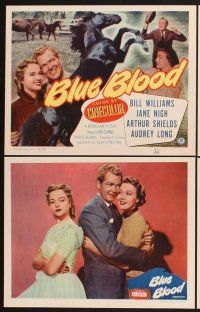 3f199 BLUE BLOOD 8 LCs '51 Bill Williams, Jane Nigh, horse racing, cool image of black stallion!