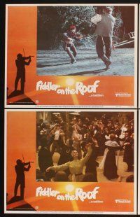 3f315 FIDDLER ON THE ROOF 8 LCs R79 Topol, Norma Crane, Leonard Frey, directed by Norman Jewison!