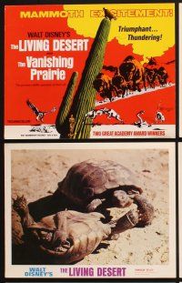 3f070 LIVING DESERT/VANISHING PRAIRIE 9 LCs '71 great images from Walt Disney wildlife double-bill!