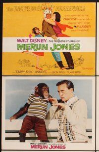 3f075 MISADVENTURES OF MERLIN JONES 9 LCs '64 Disney, wacky Annette Funicello, Tommy Kirk & chimp!