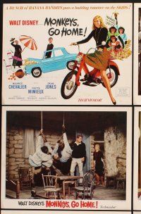 3f078 MONKEYS GO HOME 9 LCs '67 Disney, Maurice Chevalier, Yvette Mimieux & apes!