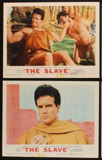 3f690 SLAVE 8 LCs '62 Steve Reeves as the son of Spartacus, directed by Sergio Corbucci!