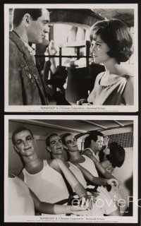 3j016 BLINDFOLD 25 8x10 stills '66 great images of Rock Hudson & beautiful Claudia Cardinale!