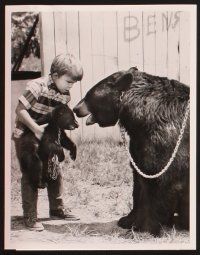 3j106 GENTLE BEN 13 TV 7x9 stills '60s Dennis Weaver, Clint Howard, great bear images!