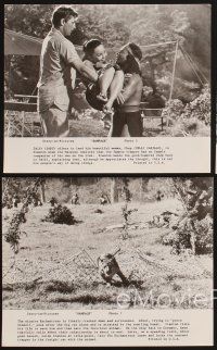 3j423 RAMPAGE 4 7.5x9.25 stills '63 Robert Mitchum & Elsa Martinelli in the African jungle!
